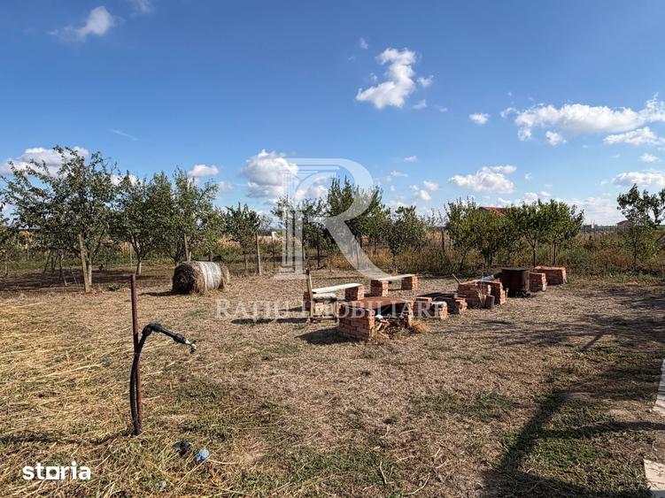 Casa cu livada, gradina ?i anexe, | Les | Oradea - 18
