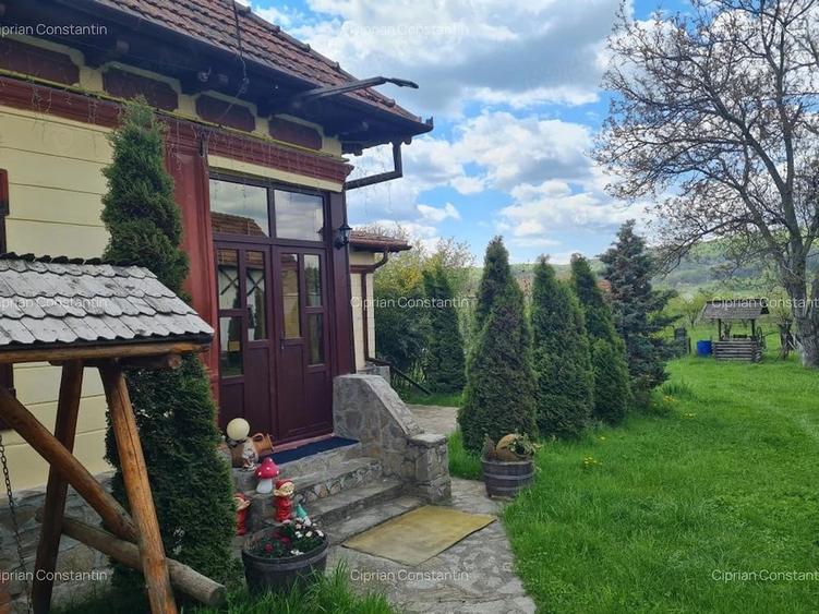 Casă cu Teren 20855 Mp în Albești