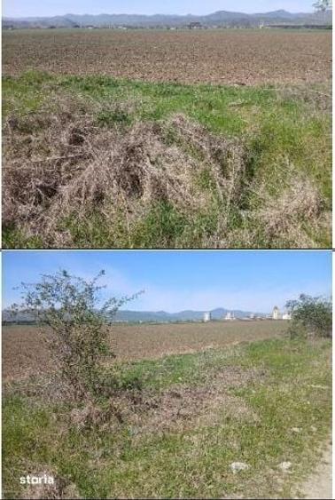 Teren de 3600 mp, în Central