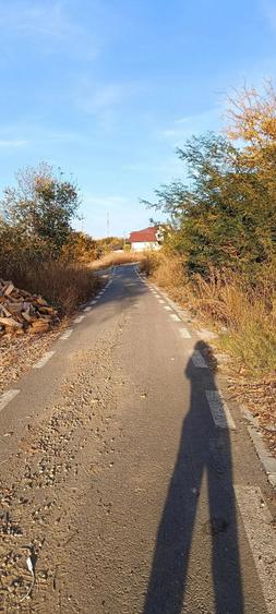 Teren de 1500 mp, în Bucovăț