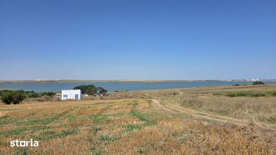 Teren de 5000 mp, în Bărăganu