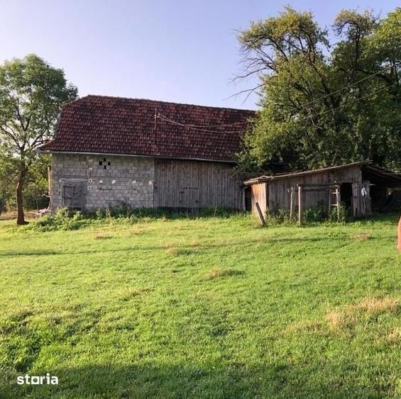 Casă cu 3 camere cu Teren 11200 Mp în Ciucea