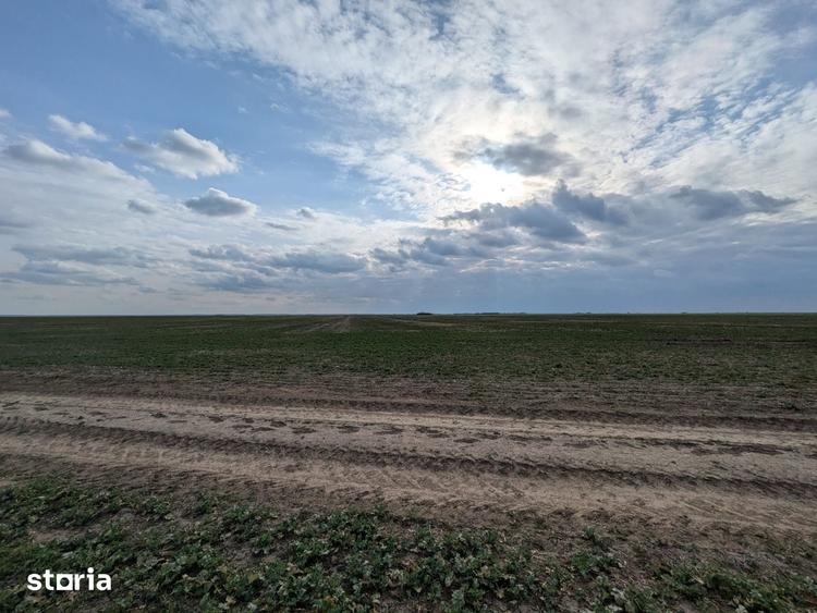 Teren de 300 mp, în Vărăști