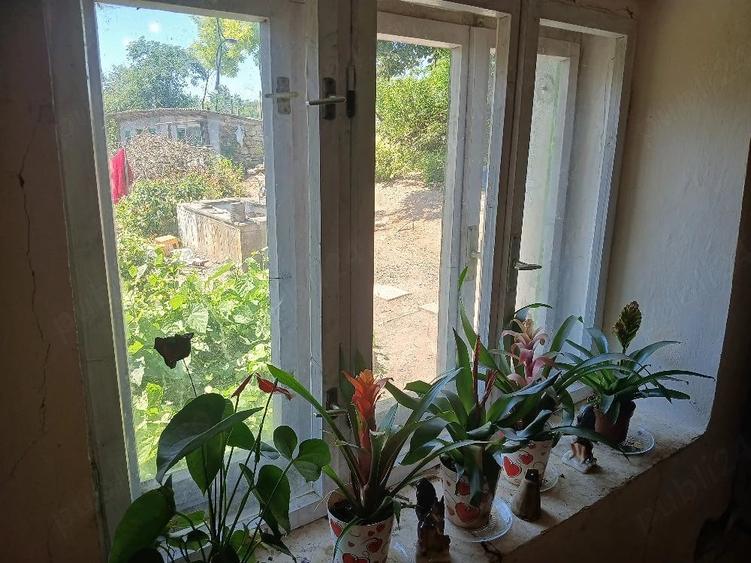 Casă cu Teren 2000 Mp în Cerchezu