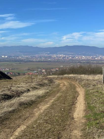 Teren agricol extravilan de 2400 mp, în Șeușa