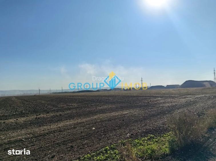 TEREN DE 10.117 MP LA E85 ADJUD | 10 /MP | OPORTUNITATE DE