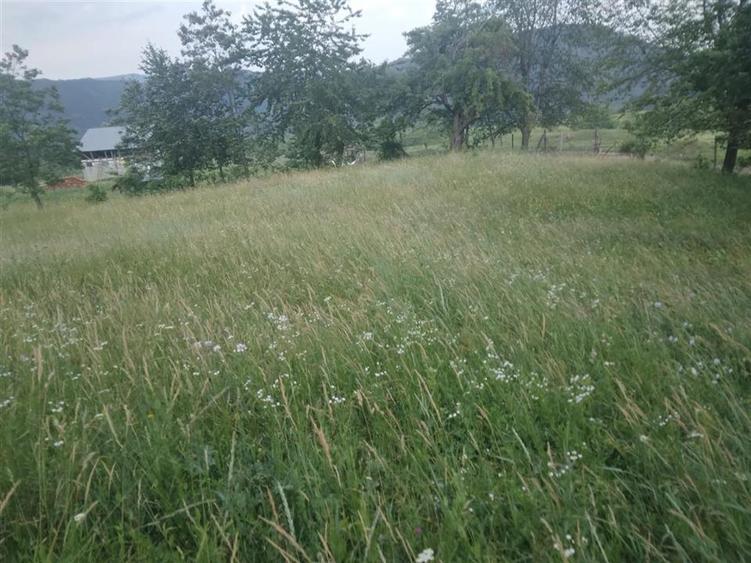 Teren Construcții extravilan de 2695 mp, în Exterior Est