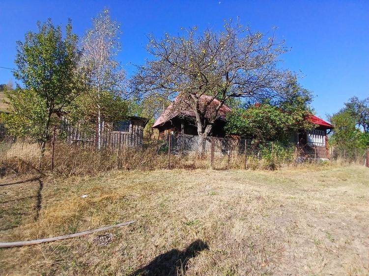 Casă cu 3 camere în Muntele Rece