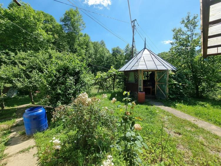 Casă individuală cu 3 camere cu Teren 5000 Mp în Plaiu (Provița de Sus)