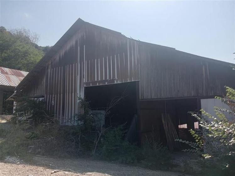 Teren Construcții intravilan de 11043 mp, în Dăești