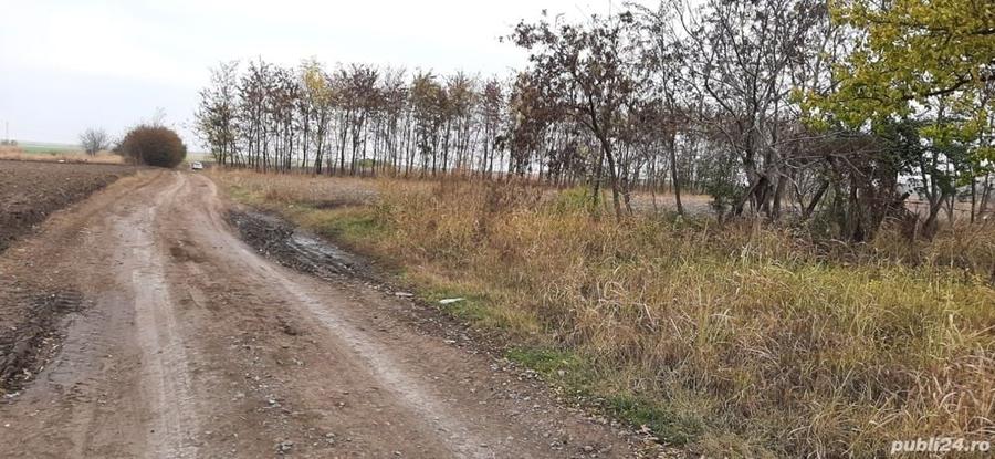 Teren de 1840 mp, în Gheorghe Lazăr