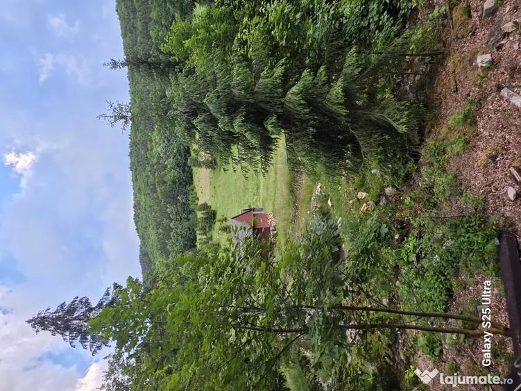 Teren de 8000 mp, în Lunca Vișagului