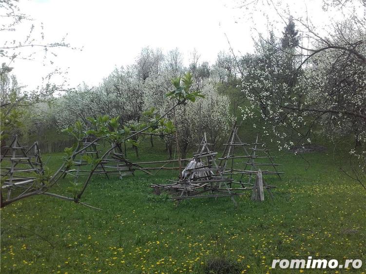 Teren de 3400 mp, în Trăisteni
