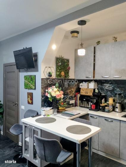 CI666 Take Ionescu,Tipografilor,2 camere,Renovat
