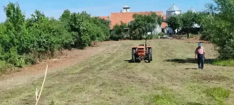 Teren de 1720 mp, în Coșteiu