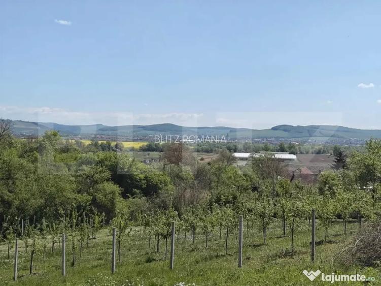 Teren intravilan cu priveli?te panoramica in Curteni! - Curteni (Mures)