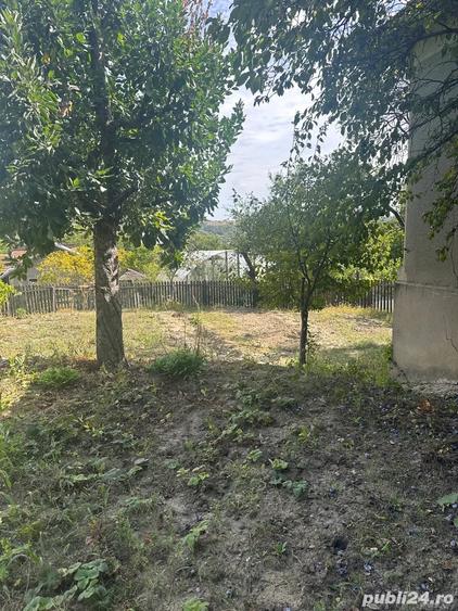 Casă cu 2 camere în Zărnești