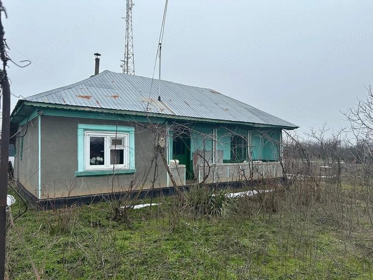 Casă cu Teren 2400 Mp în Toporu