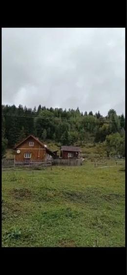 Teren Construcții intravilan de 12000 mp, în Ortoaia