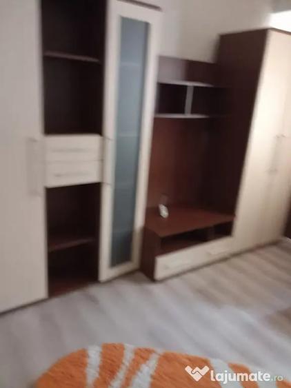 Apartament cu 2 camere semidecomandat în Banat