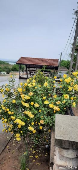 Spațiu comercial, de 400 mp, în Crivina