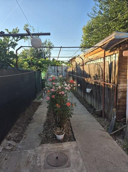 Casă cu 3 camere cu Teren 250 Mp în Bucureștii Noi