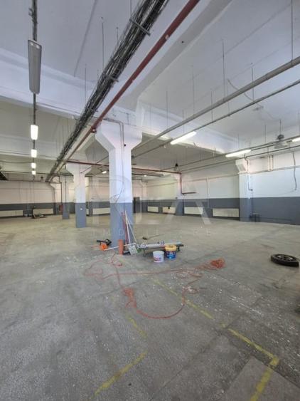 Spațiu industrial, de 3,600 mp, în Theodor Pallady
