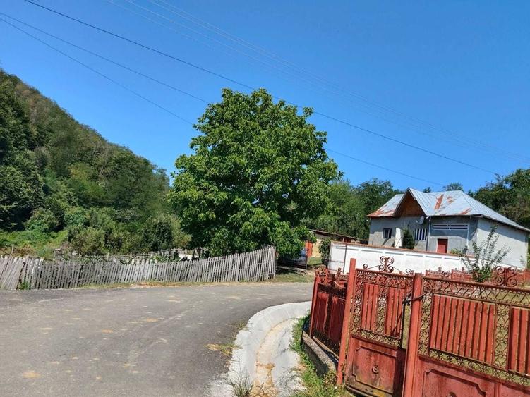 Casă cu 2 camere în Bujoi