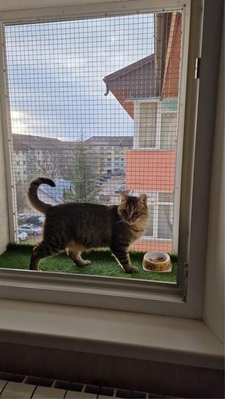 Apartament cu 3 camere decomandat în Sfântu Ilie