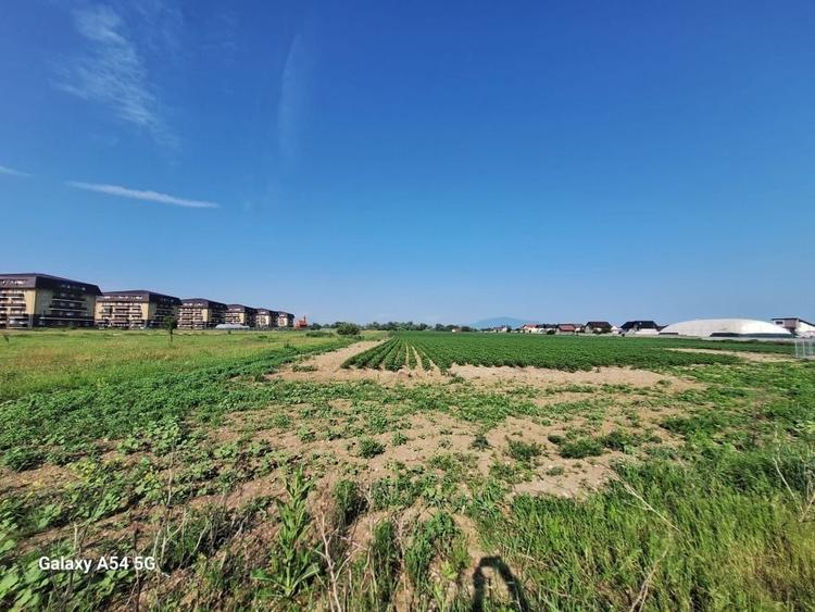 Teren agricol extravilan de 17400 mp, în Sânpetru