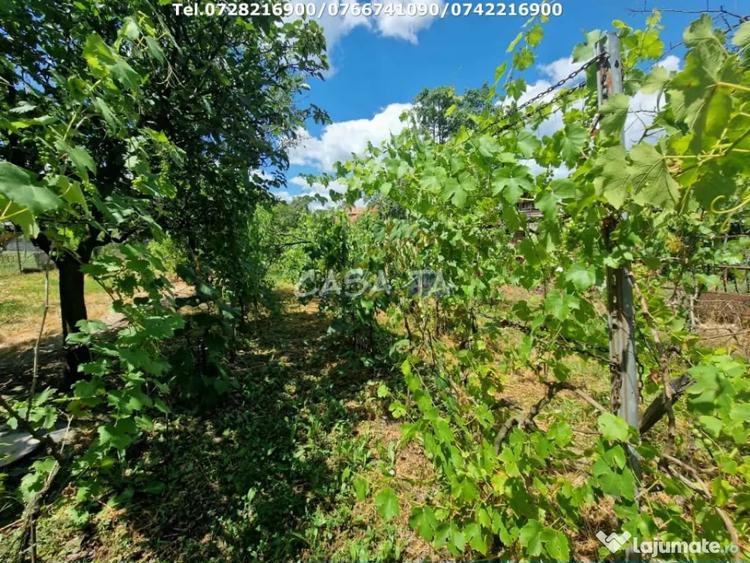Casă cu 2 camere cu Teren 2554 Mp în Sănătești