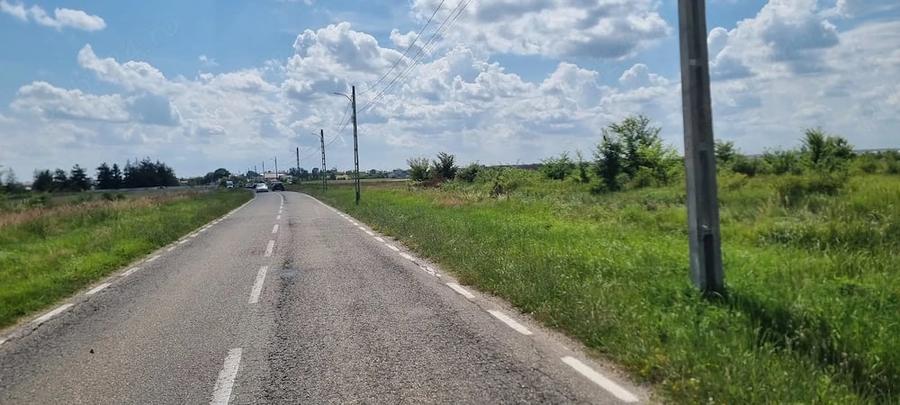 Teren de 8000 mp, în Bradu