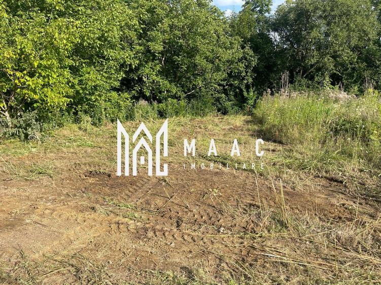 Teren agricol intravilan de 10305 mp, în Bună Ziua