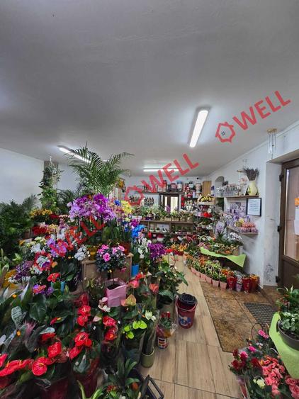 Spațiu comercial, de 100 mp, în Baraolt
