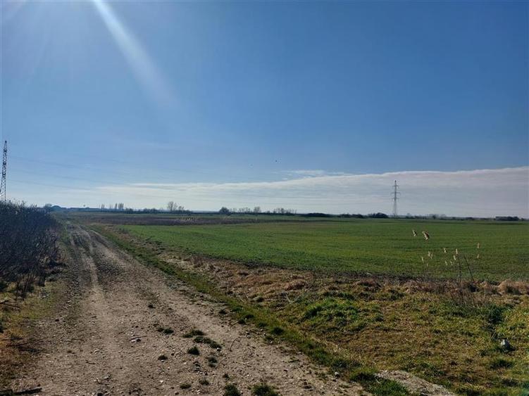 Teren agricol extravilan de 50000 mp, în Turnu