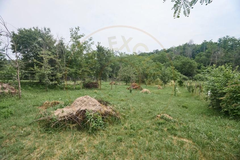 Teren Construcții intravilan de 2240 mp, în Hințești