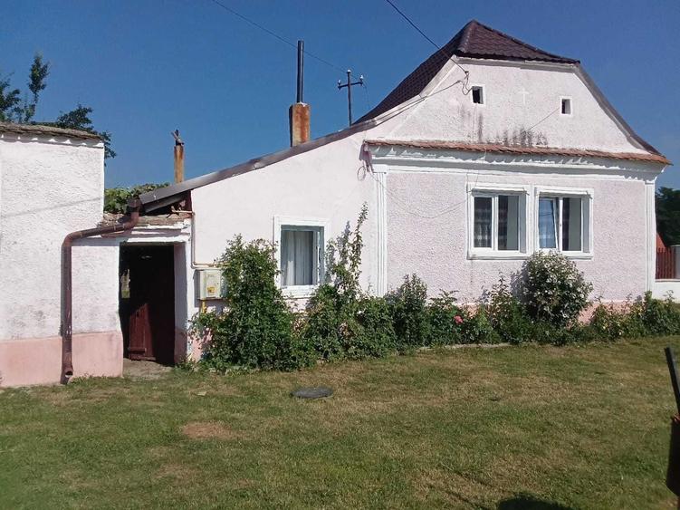Casa de vanzare cu curte,gradina 2500mp - 2