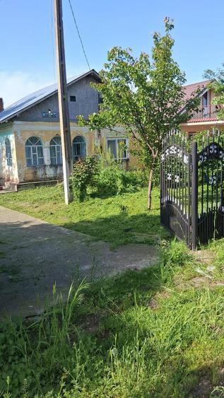 Teren de 70000 mp, în Dioști