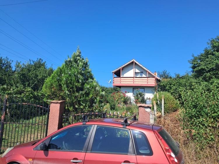 Spațiu comercial, în Daia