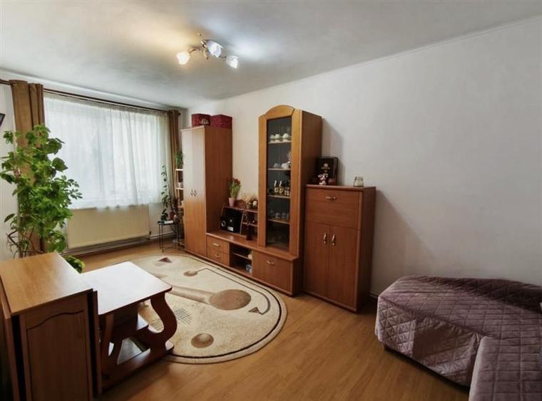 Apartament cu 3 camere decomandat, mobilat în Frumoasa
