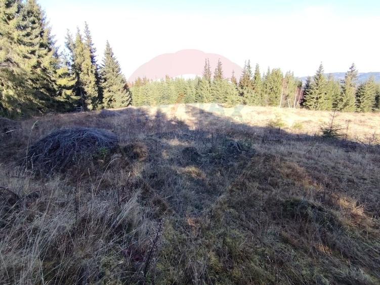 Teren agricol extravilan de 16289 mp, în Coverca