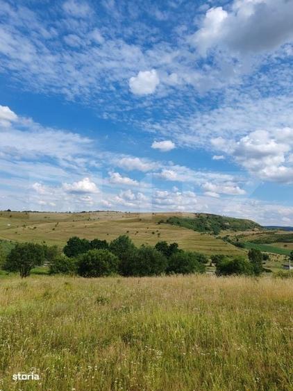Teren intravilan ideal pentru casa, 4300mp, Deusu -Chinteni - 8