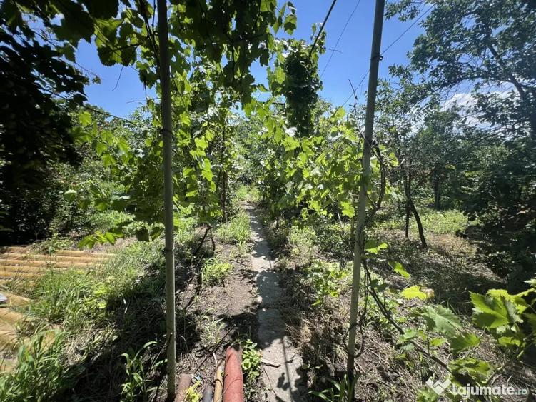 Casă cu 8 camere cu Teren 739 Mp în Mehala