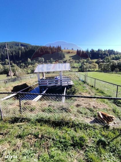 Casă cu 2 camere cu Teren 11541 Mp în Iacobeni