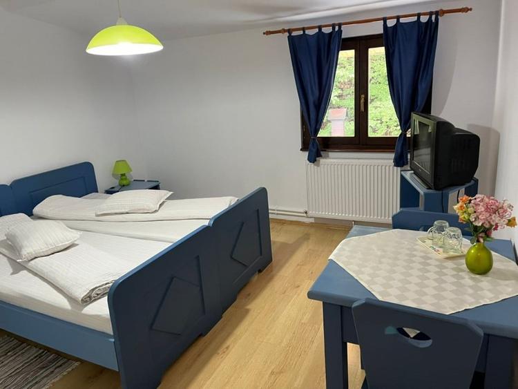 Hotel/Pensiune, de 400 mp, în Lepșa