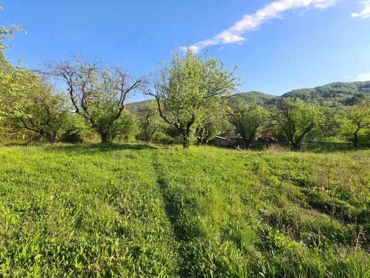 Teren de 950 mp, în Păușești