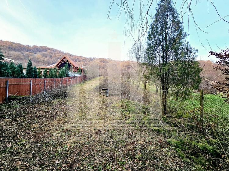 Teren Construcții intravilan de 2900 mp, în Vest
