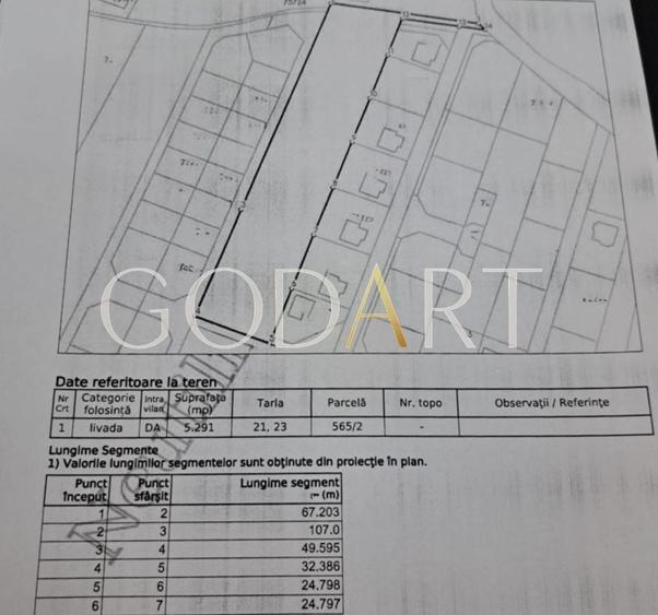 Teren Construcții intravilan de 5291 mp, în Viforâta