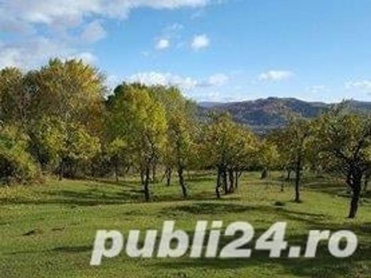 Teren de 3300 mp, în Predeal