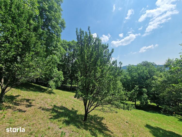 Teren de 3910 mp, în Secăriei